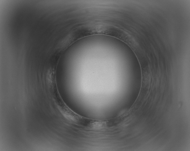 X0000073490126200607311236