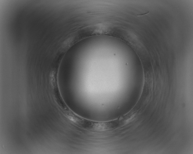 X0000073490127200607311236