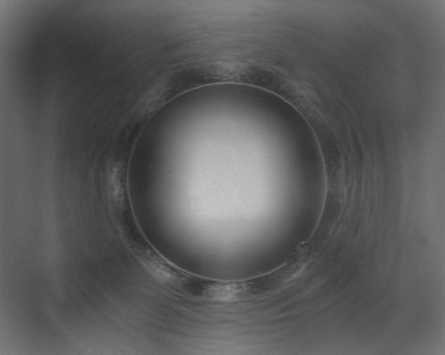 X0000073490131200607311236