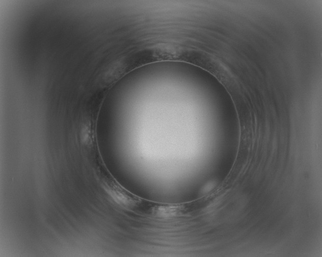 X0000073490134200607311236