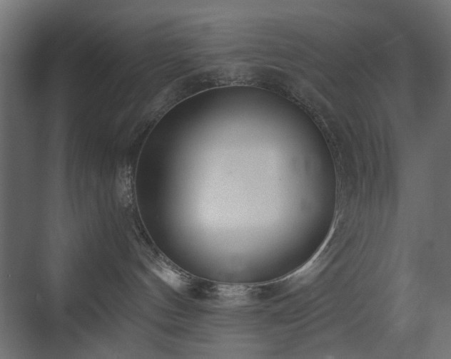 X0000073490144200607311236