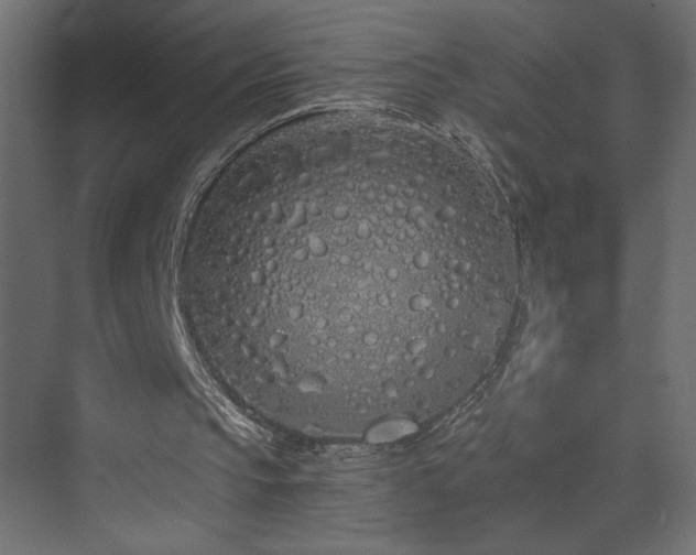 X0000073490145200607311235