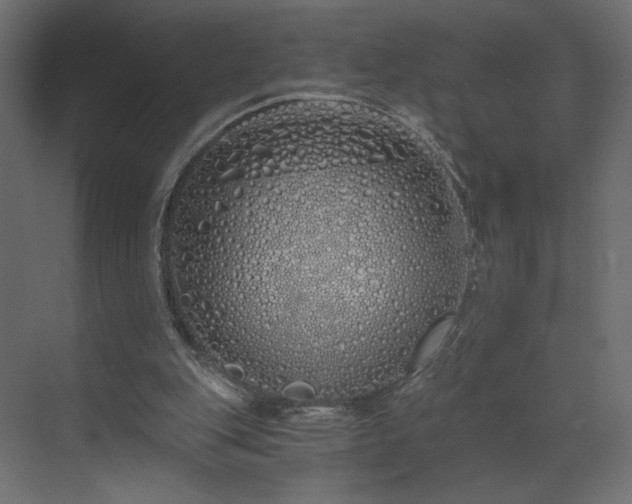 X0000073490151200607311235