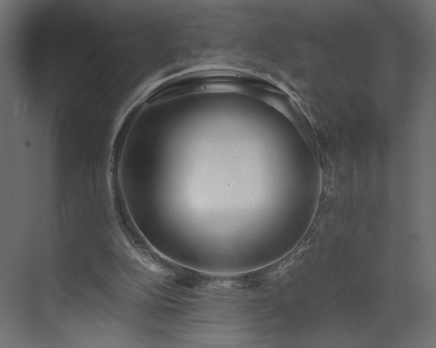 X0000073490152200607311235