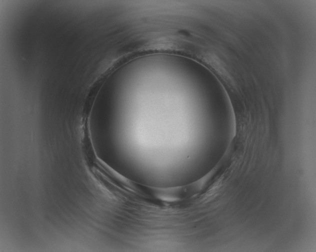 X0000073490160200607311236