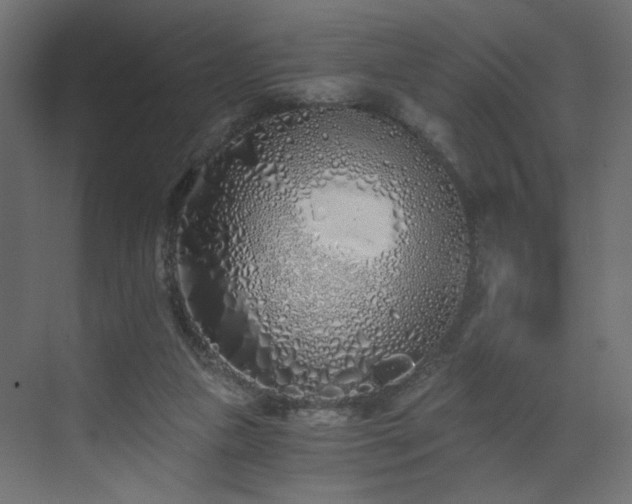 X0000073490161200607311236