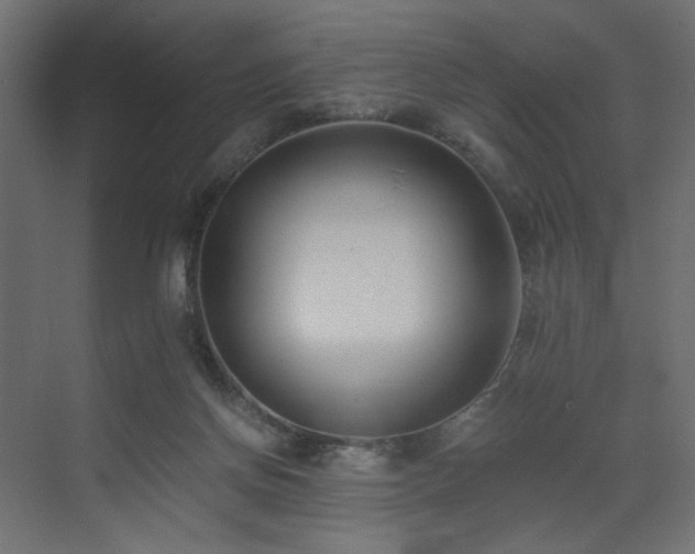 X0000073490166200607311236
