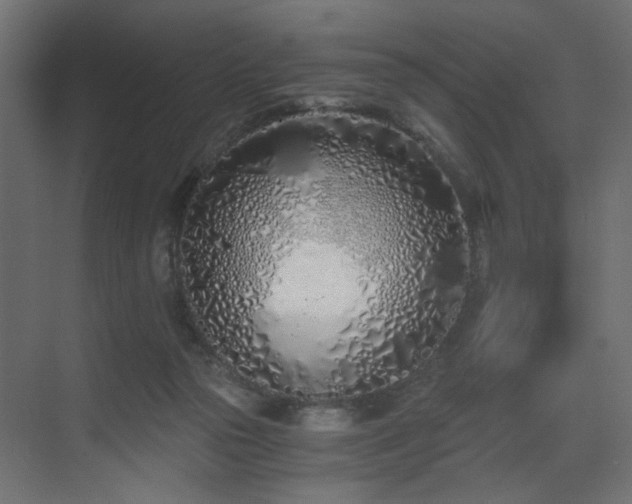 X0000073490169200607311236