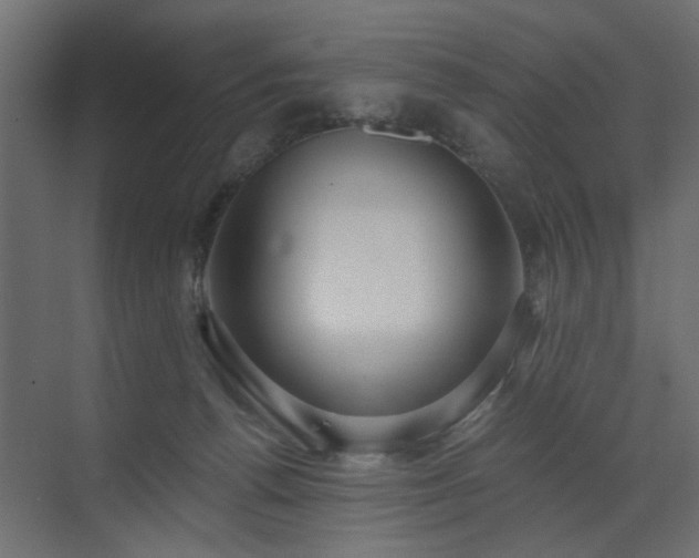 X0000073490176200607311236