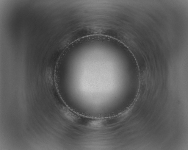 X0000073490178200607311236