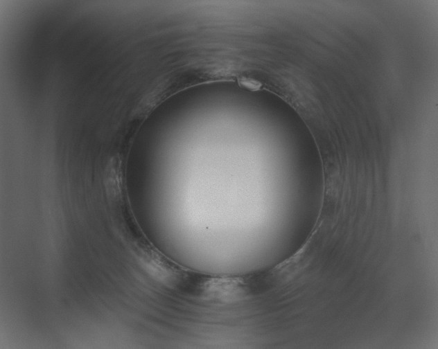 X0000073490179200607311236