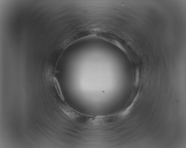 X0000073490186200607311236