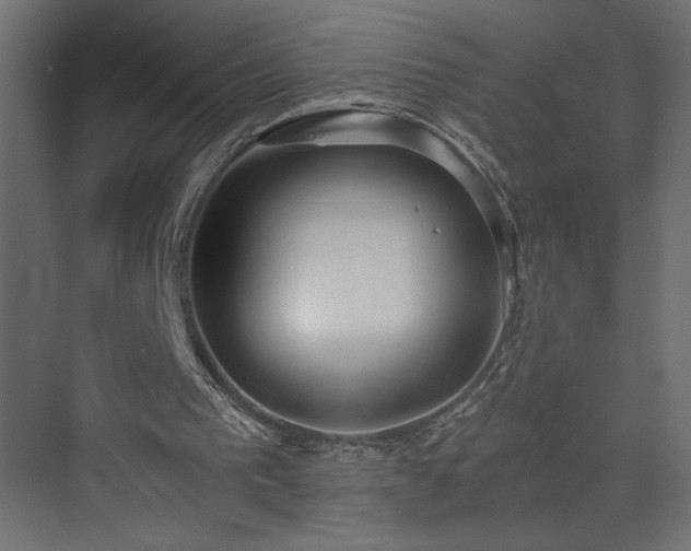 X0000073490193200607311235