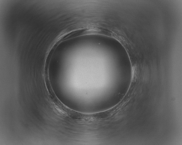 X0000073490195200607311235