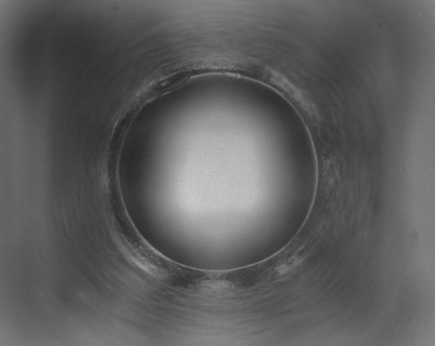 X0000073490203200607311235