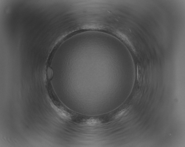 X0000073490204200607311235
