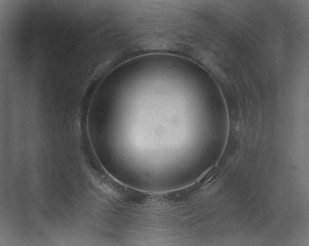X0000073490207200607311235