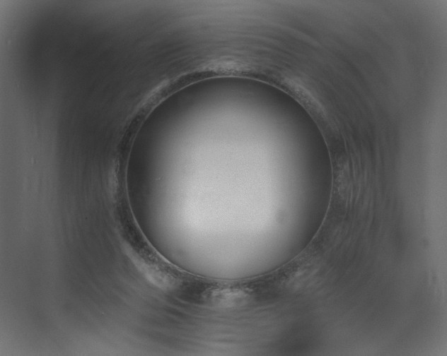 X0000073490208200607311235