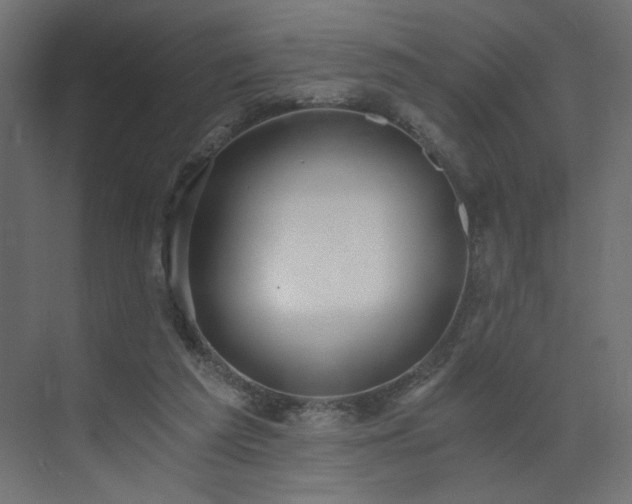 X0000073490209200607311235