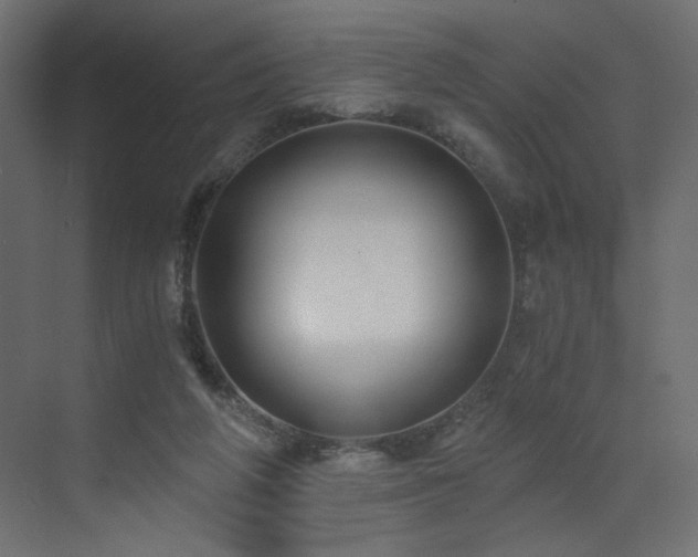 X0000073490210200607311235