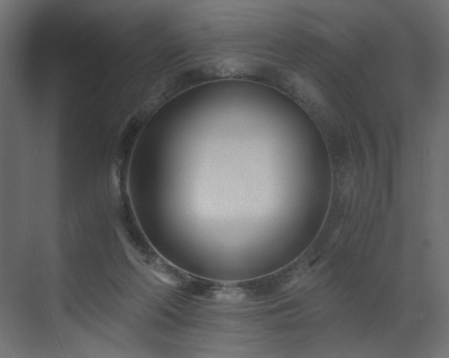 X0000073490214200607311235