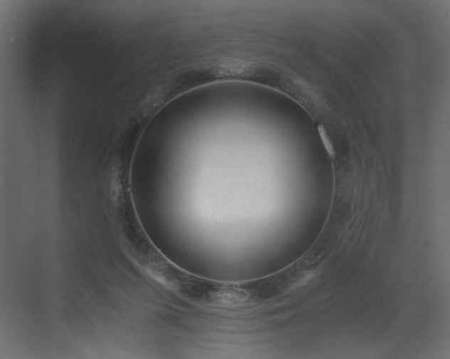 X0000073490215200607311235
