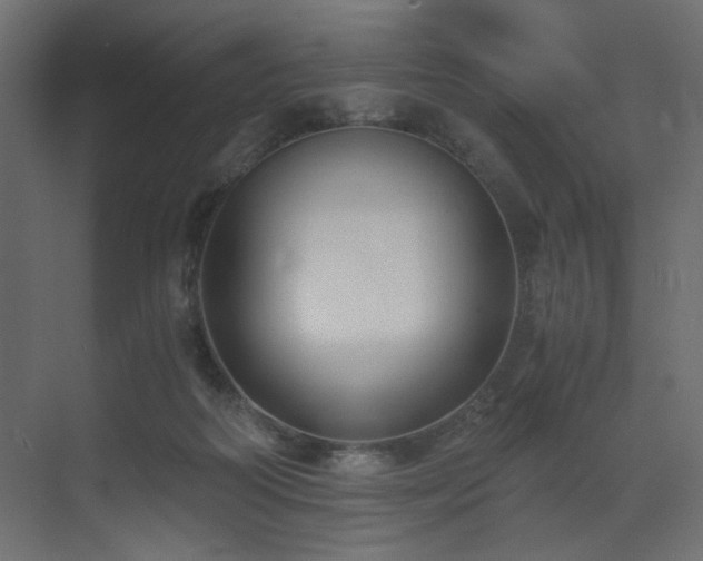 X0000073490218200607311235
