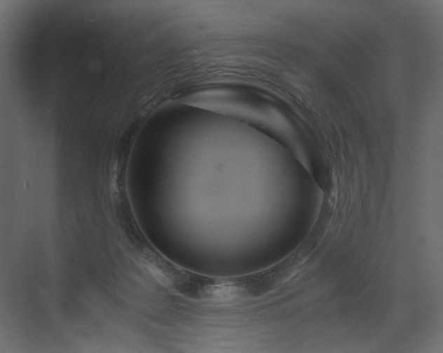 X0000073490219200607311235