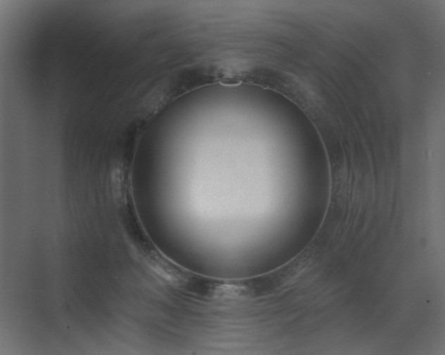 X0000073490222200607311235