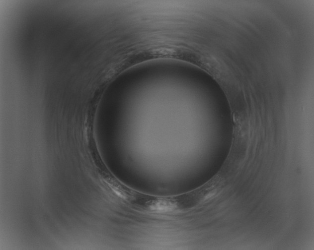 X0000073490223200607311235