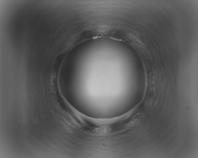 X0000073490225200607311235