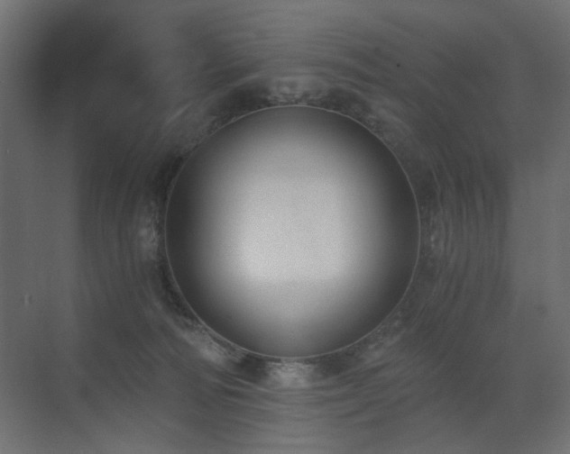 X0000073490226200607311235