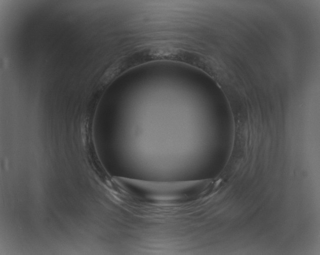 X0000073490227200607311235