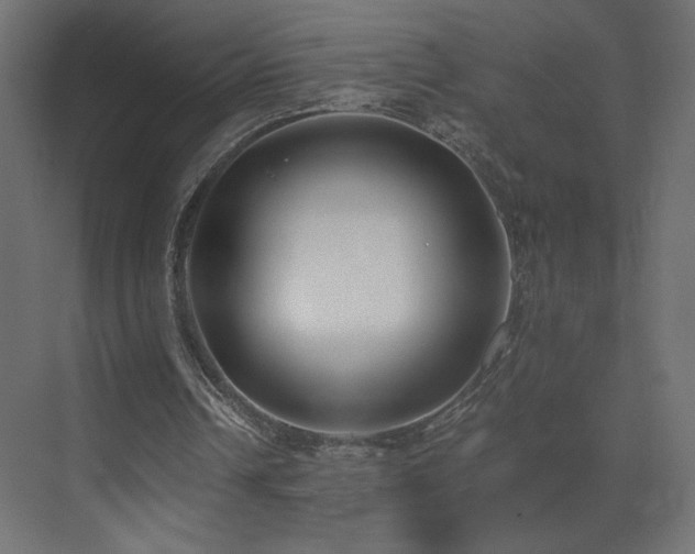 X0000073490242200607311234