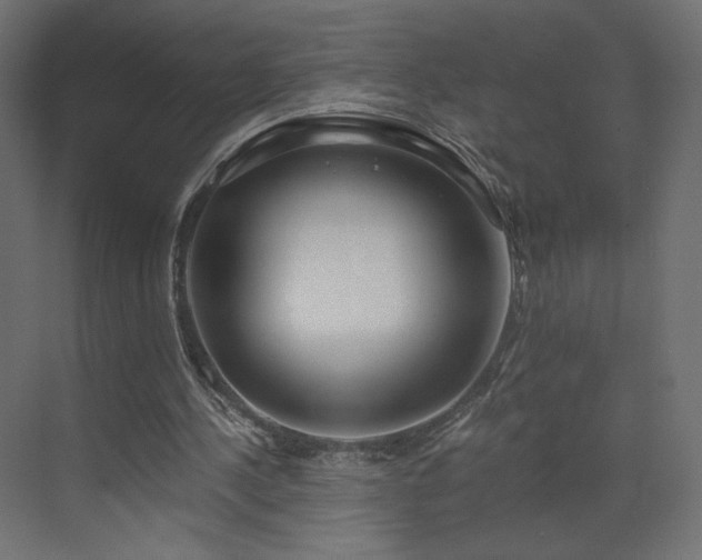 X0000073490244200607311234