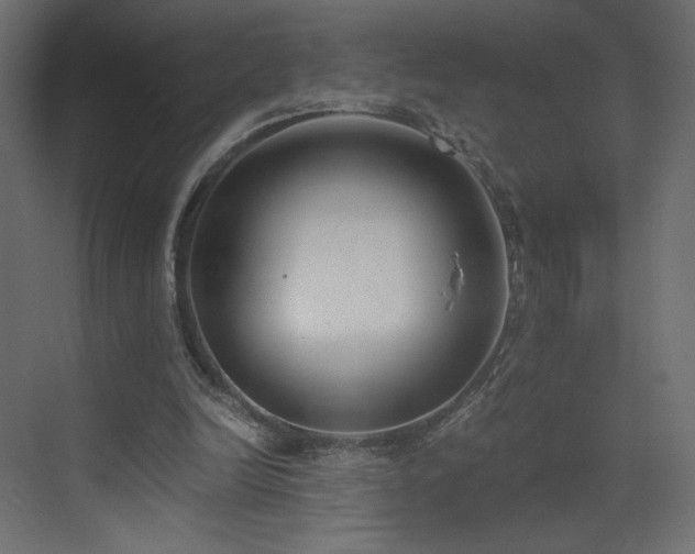 X0000073490246200607311234