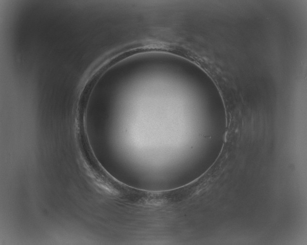 X0000073490247200607311234