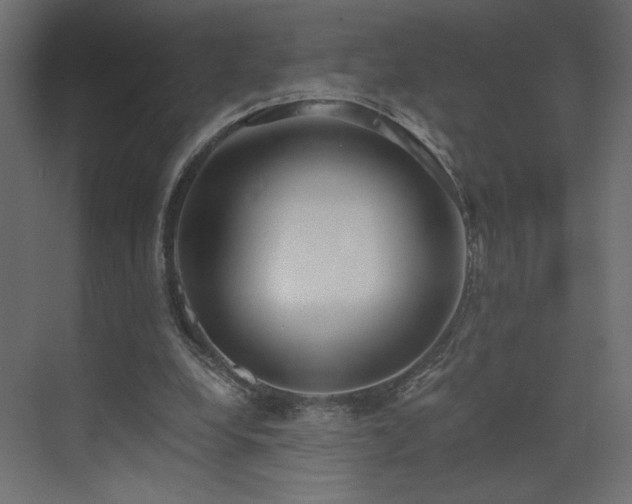 X0000073490248200607311234