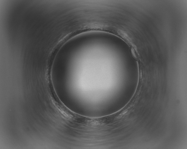 X0000073490249200607311234