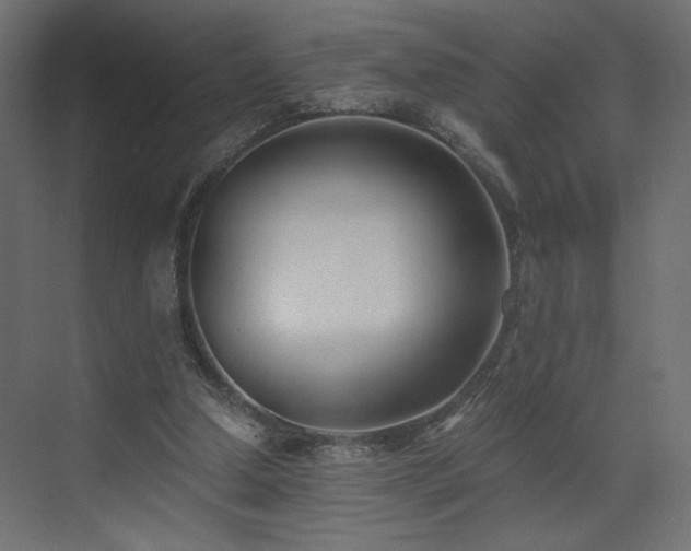 X0000073490250200607311234