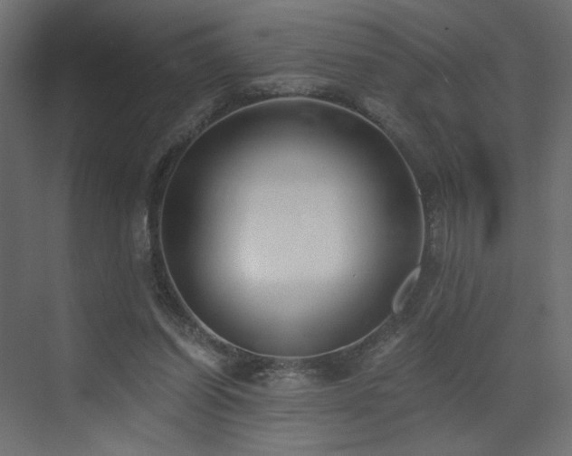 X0000073490254200607311234