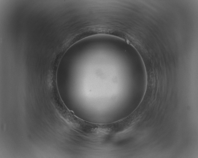 X0000073490255200607311234