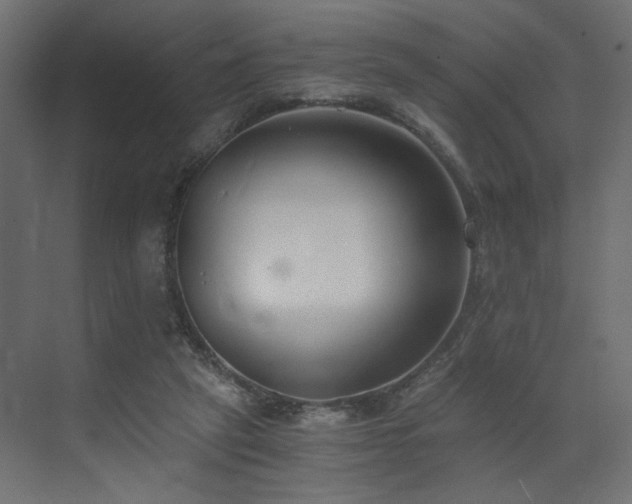 X0000073490257200607311234