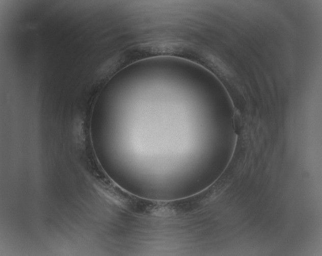 X0000073490258200607311234