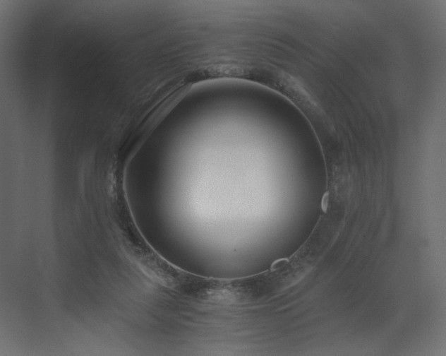 X0000073490259200607311234