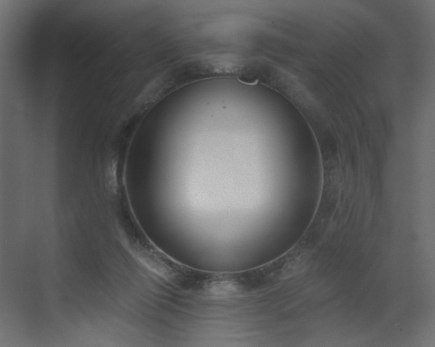 X0000073490262200607311234