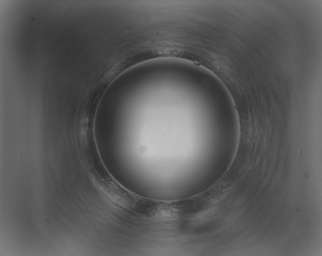 X0000073490263200607311234