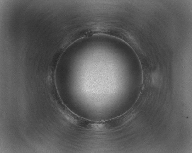 X0000073490265200607311234