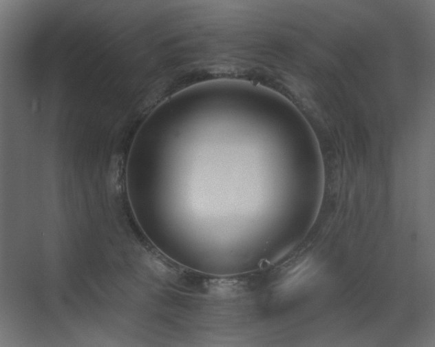 X0000073490273200607311234