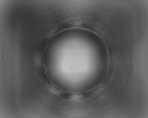 X0000073490274200607311234